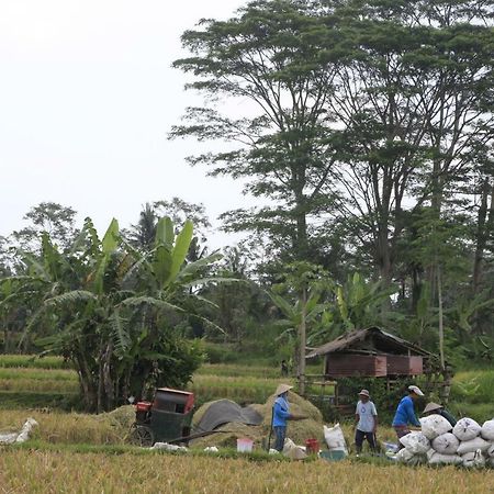 Pondok Gepokan Homestay Ubud Dış mekan fotoğraf