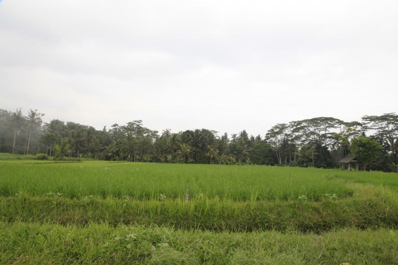 Pondok Gepokan Homestay Ubud Dış mekan fotoğraf