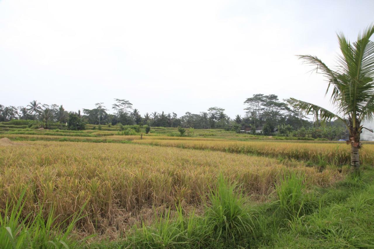 Pondok Gepokan Homestay Ubud Dış mekan fotoğraf