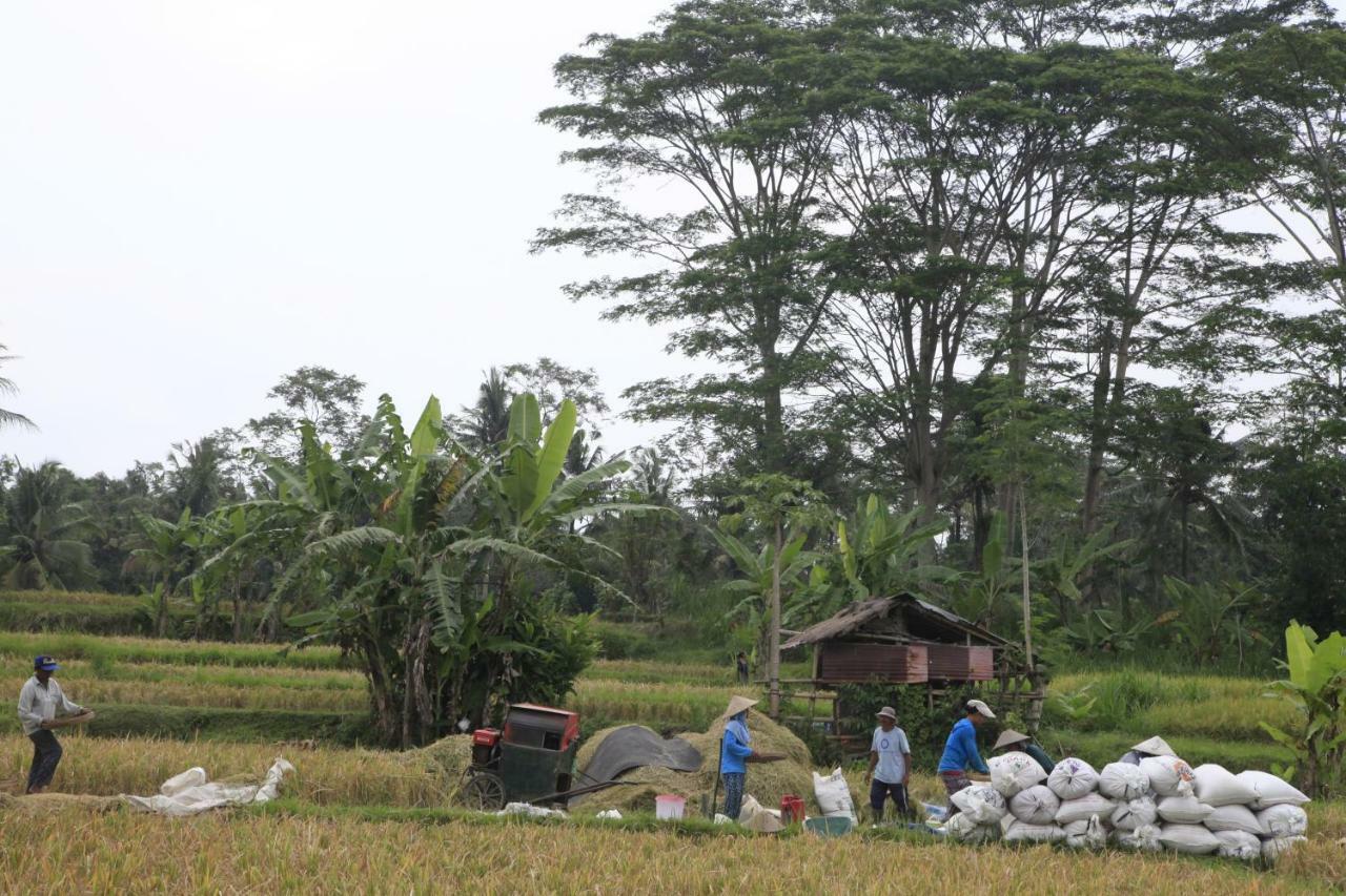 Pondok Gepokan Homestay Ubud Dış mekan fotoğraf