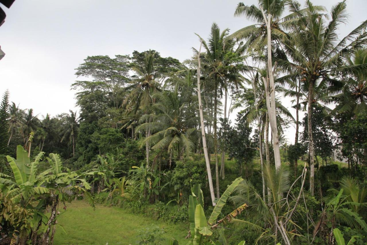 Pondok Gepokan Homestay Ubud Dış mekan fotoğraf